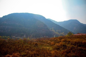 nEO_IMG_IMG_0901.jpg