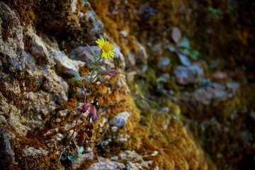 nEO_IMG_IMG_0911.jpg