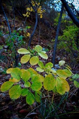 nEO_IMG_IMG_0941.jpg