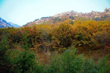 nEO_IMG_IMG_1069.jpg