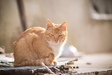 nEO_IMG_IMG_1411.jpg