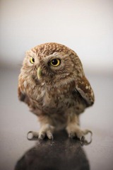 nEO_IMG_IMG_2501.jpg