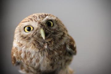 nEO_IMG_IMG_2503.jpg