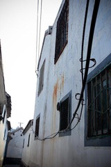 nEO_IMG_IMG_2616.jpg