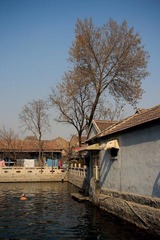 nEO_IMG_IMG_2624.jpg