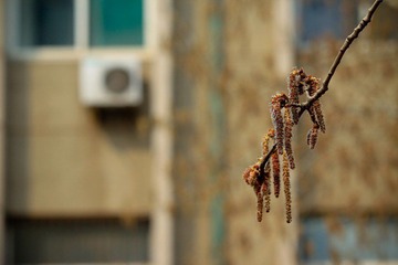 nEO_IMG_IMG_2865.jpg