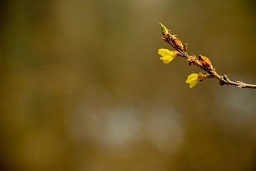nEO_IMG_IMG_2868.jpg