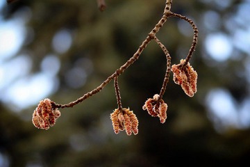 nEO_IMG_IMG_2885.jpg