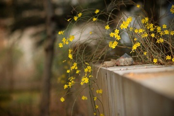 nEO_IMG_IMG_2896.jpg
