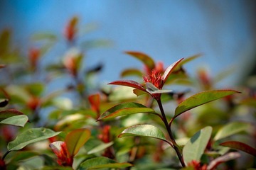 nEO_IMG_IMG_2937.jpg