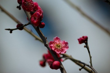 nEO_IMG_IMG_2944.jpg