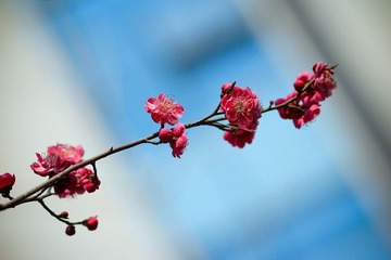 nEO_IMG_IMG_2946.jpg