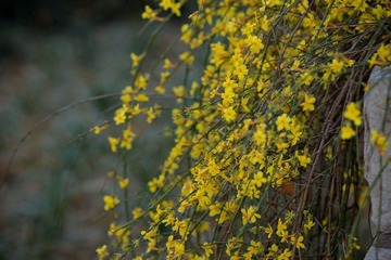 nEO_IMG_IMG_2953.jpg