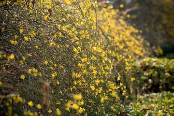 nEO_IMG_IMG_2954.jpg