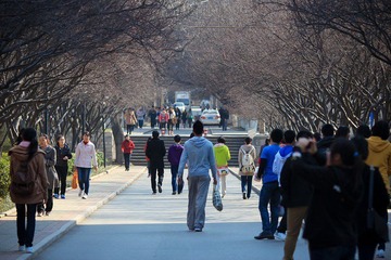 nEO_IMG_IMG_2963.jpg