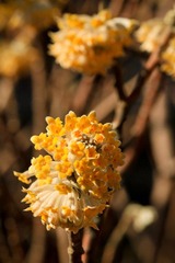 nEO_IMG_IMG_2982.jpg