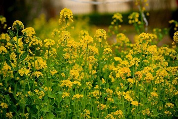 nEO_IMG_IMG_3171.jpg
