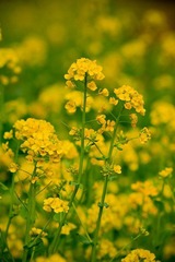 nEO_IMG_IMG_3172.jpg