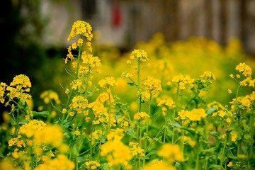 nEO_IMG_IMG_3175.jpg