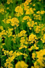 nEO_IMG_IMG_3176.jpg