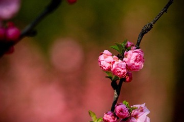 nEO_IMG_IMG_3135.jpg