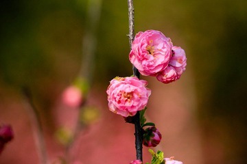 nEO_IMG_IMG_3137.jpg