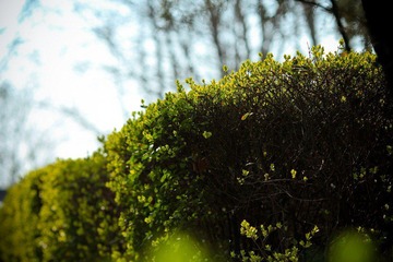 nEO_IMG_IMG_3150.jpg
