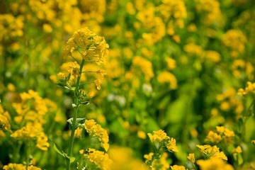 nEO_IMG_IMG_3200.jpg