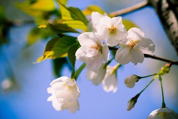 nEO_IMG_IMG_3213.jpg