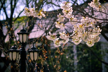 nEO_IMG_IMG_3225-3.jpg