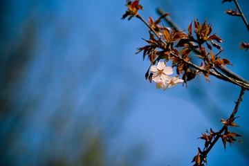 nEO_IMG_IMG_3228.jpg