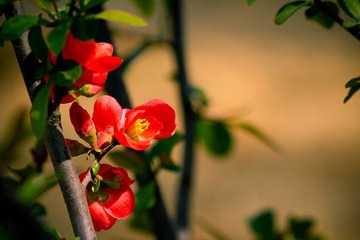 nEO_IMG_IMG_3230.jpg