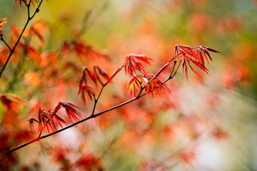nEO_IMG_IMG_3245.jpg