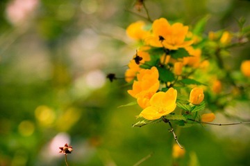 nEO_IMG_IMG_3265.jpg