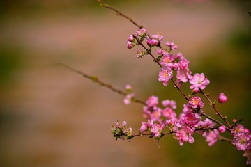 nEO_IMG_IMG_3430.jpg