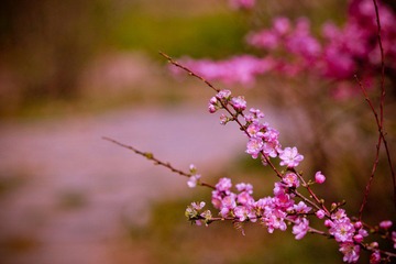 nEO_IMG_IMG_3431.jpg