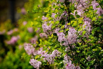 nEO_IMG_IMG_3434.jpg
