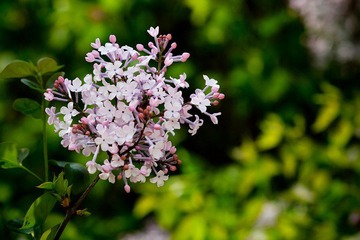 nEO_IMG_IMG_3435.jpg