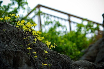 nEO_IMG_IMG_3441.jpg