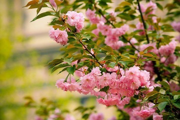 nEO_IMG_IMG_3458.jpg
