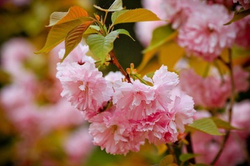 nEO_IMG_IMG_3462.jpg