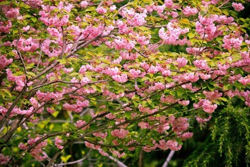 nEO_IMG_IMG_3464.jpg