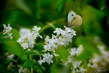 nEO_IMG_IMG_3472.jpg