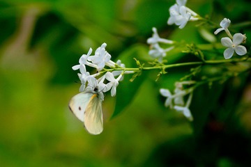 nEO_IMG_IMG_3478.jpg