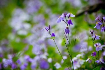 nEO_IMG_IMG_3482.jpg