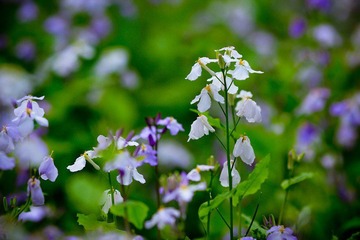 nEO_IMG_IMG_3484.jpg