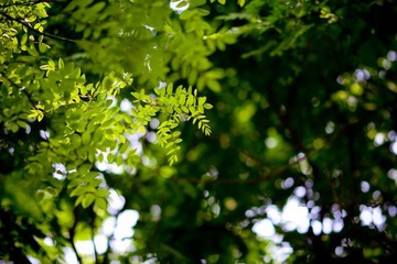 nEO_IMG_IMG_3707.jpg