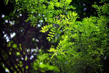 nEO_IMG_IMG_3718.jpg