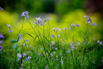 nEO_IMG_IMG_3720.jpg