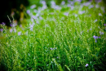 nEO_IMG_IMG_3723.jpg